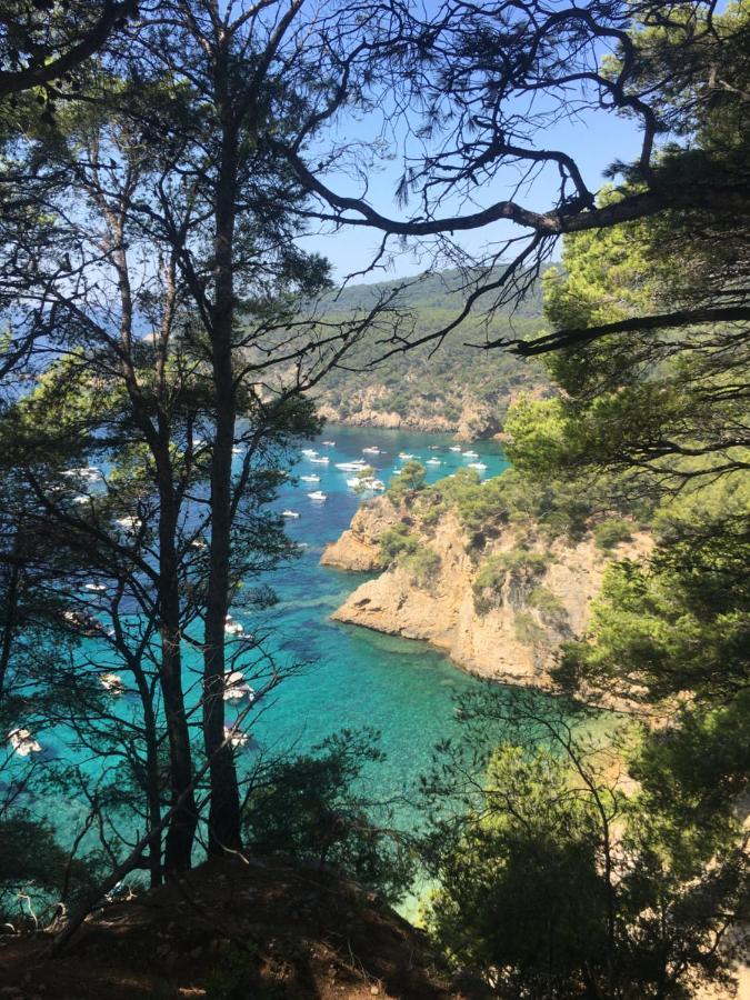 Studio Cosy Proche Mer แซ็งต์-ซีร์-ซูร์-แมร์ ภายนอก รูปภาพ